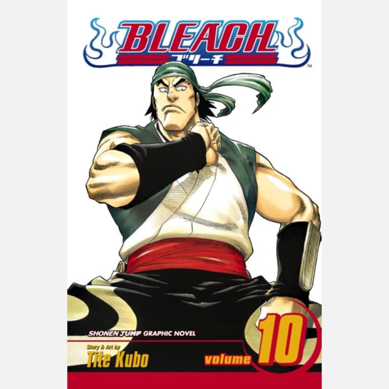 Bleach 10