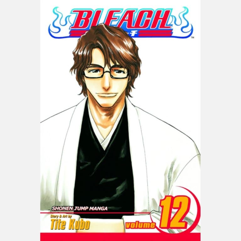 Bleach 12